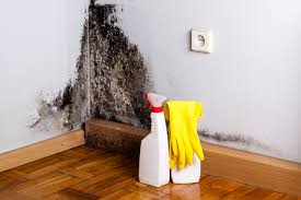 Best Mold Documentation for Insurance Claims  in Orting, WA